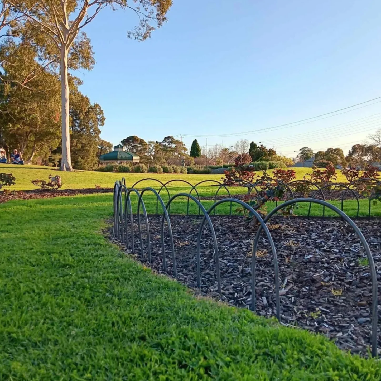 Garden Hoops 5-Packs