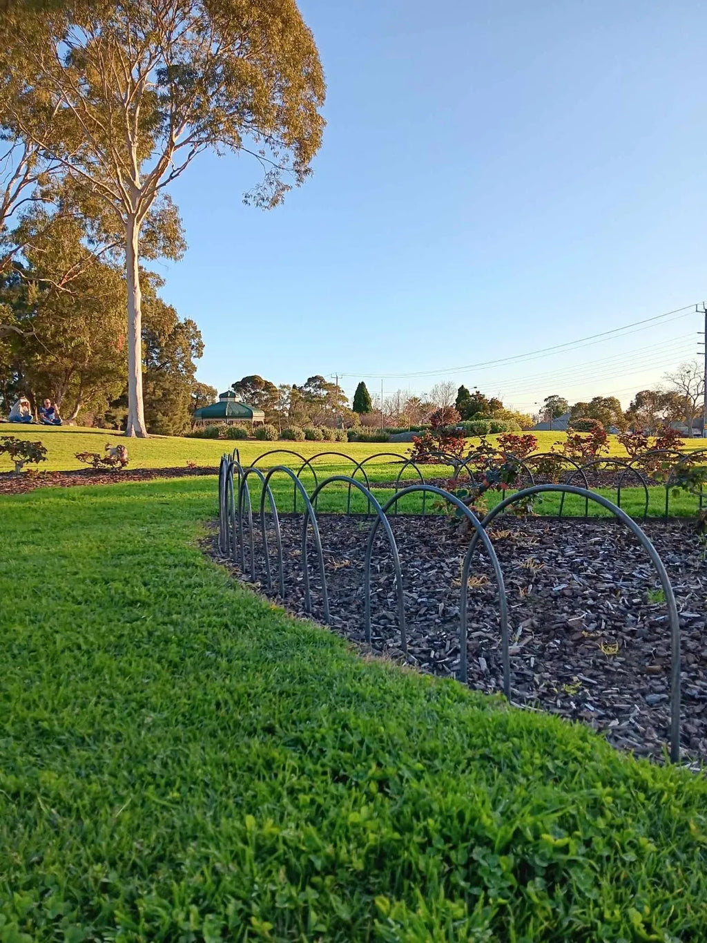 Small 5-Pack Garden Hoops - 380mm | Free Shipping Australia Wide