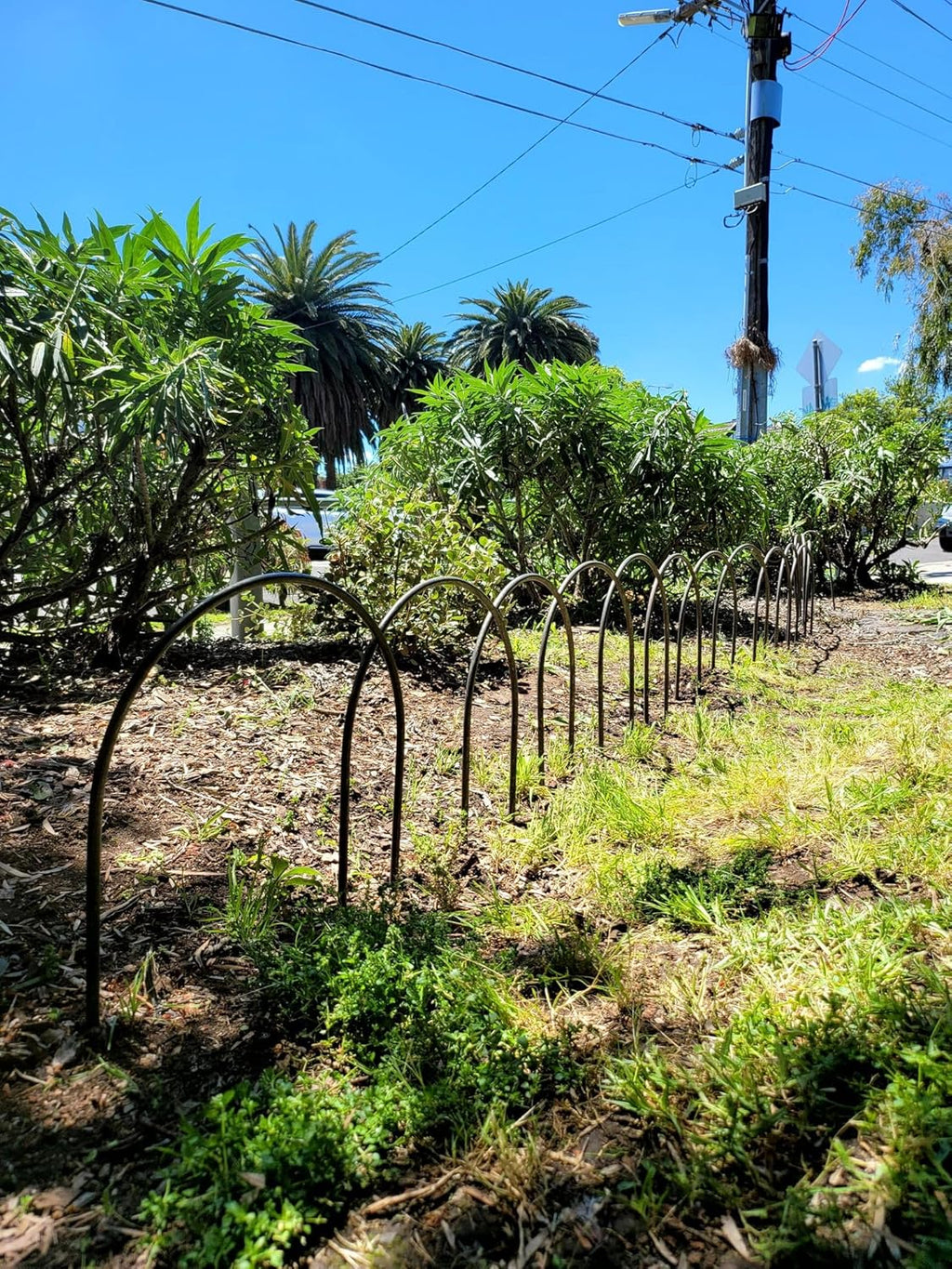 Small 5-Pack Garden Hoops - 380mm | Free Shipping Australia Wide