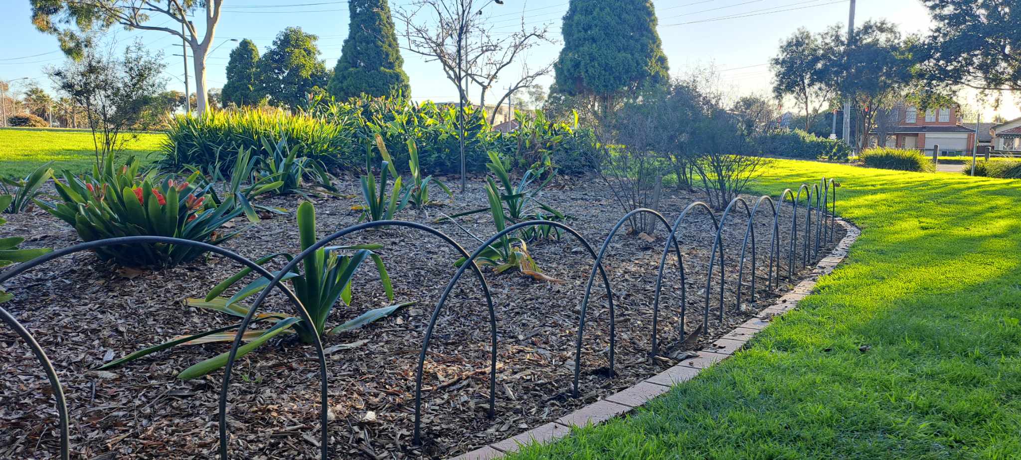 Garden Hoops - Standard 750mm