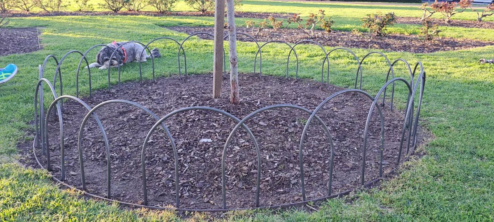 Small 5-Pack Garden Hoops - 380mm | Free Shipping Australia Wide