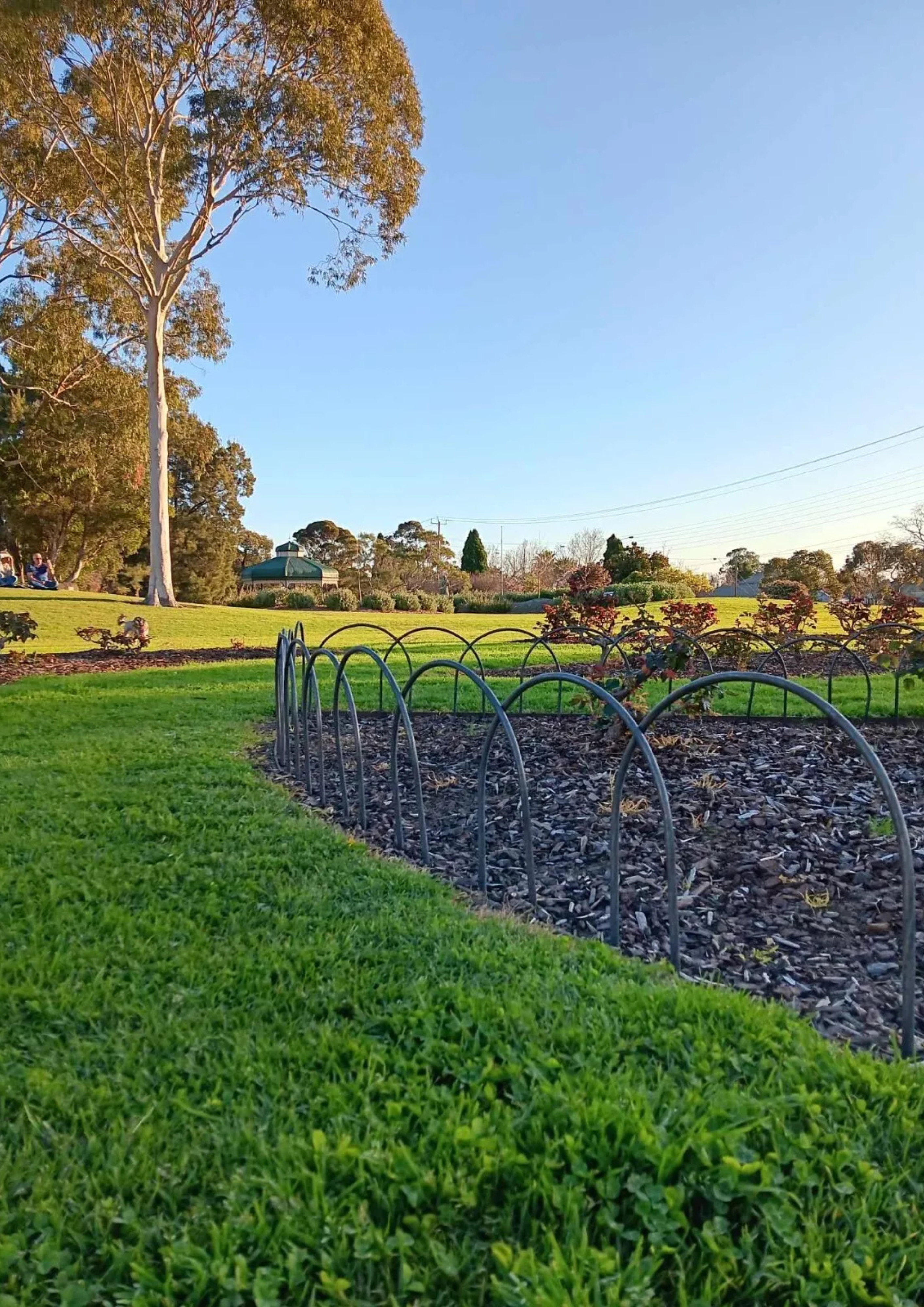 Garden Hoops - Small 380mm