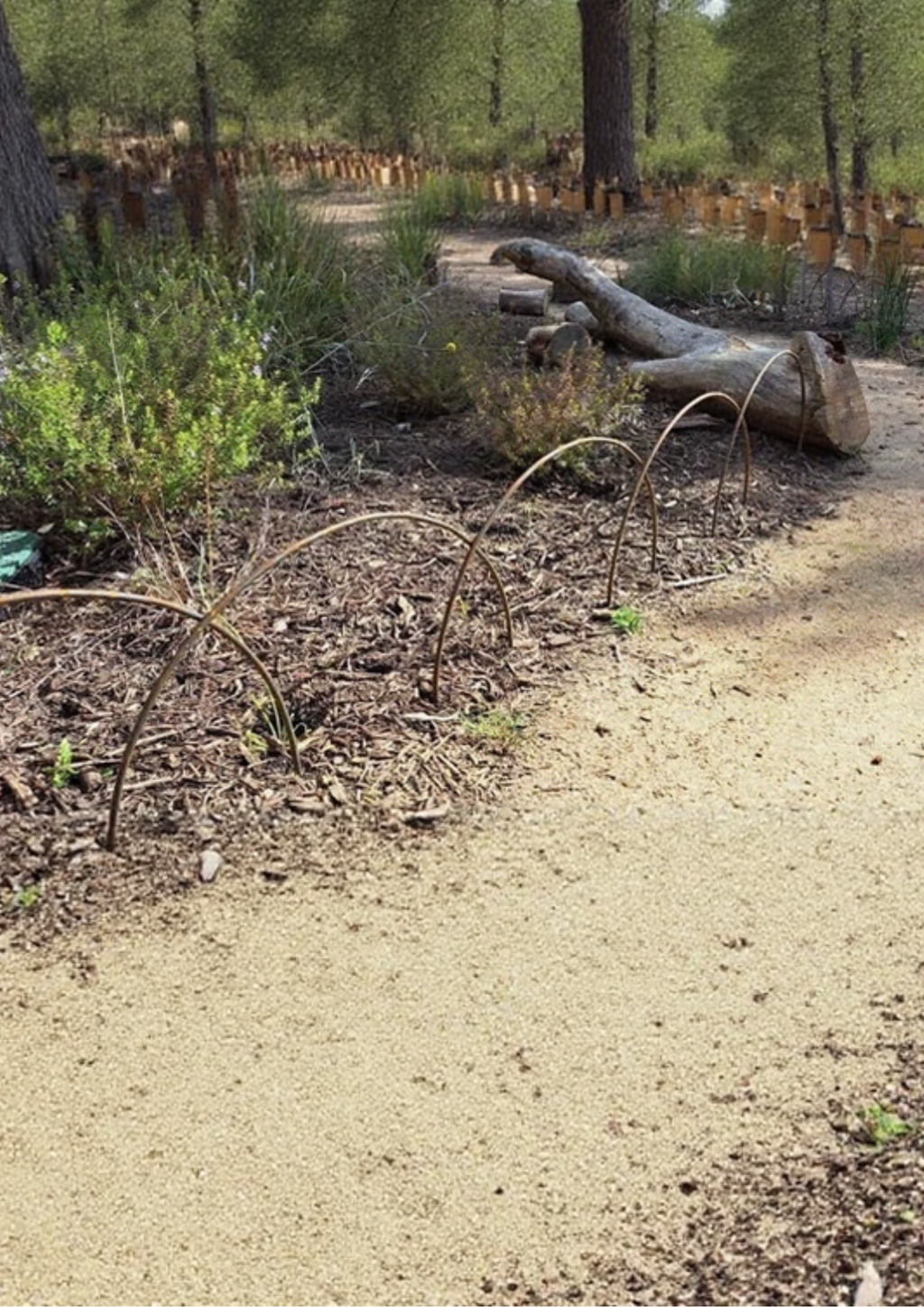 Garden Hoops - Standard 750mm